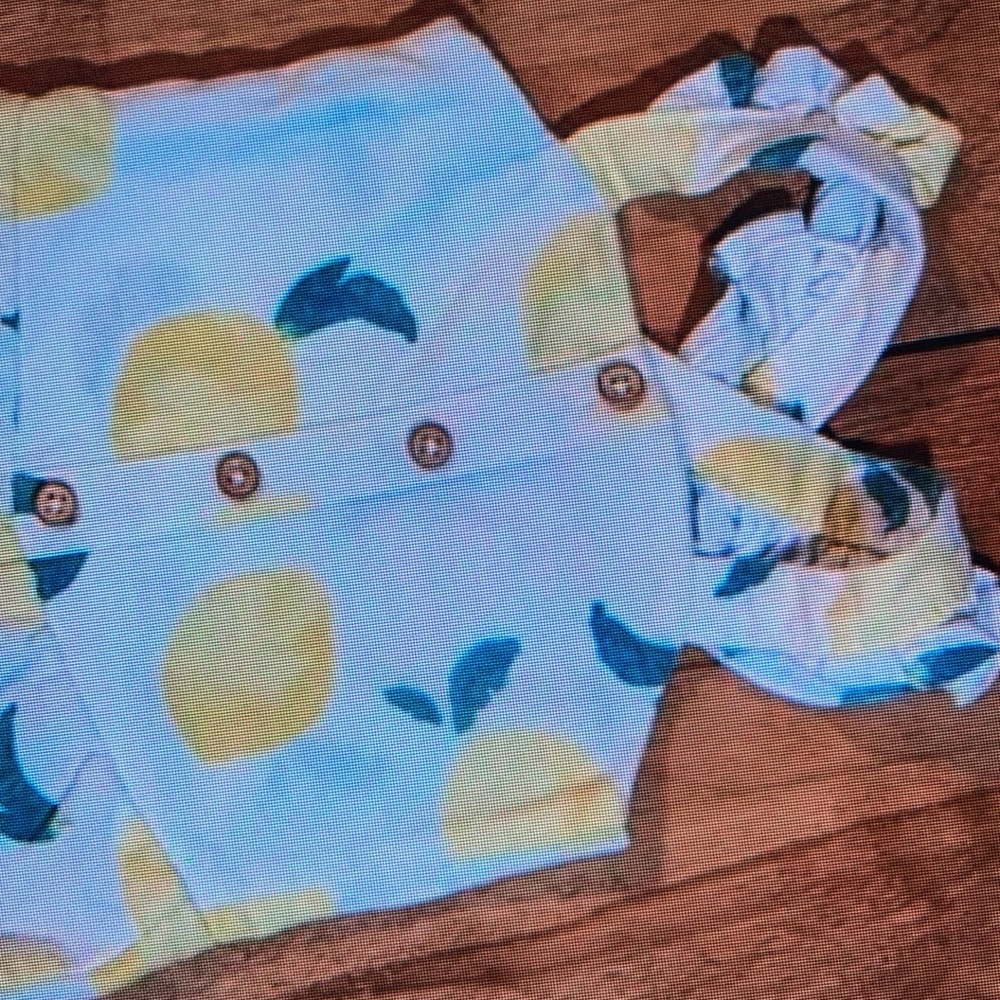 Adorable lemon features button front print one piece
